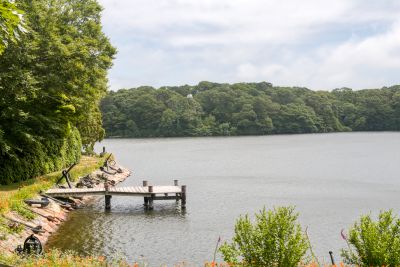 Pond Garden